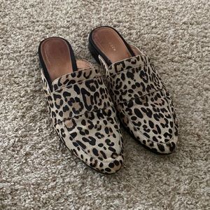 Leopard mules